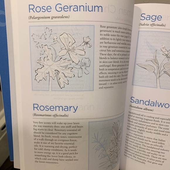 Aromatherapy With Essential Oil Diffusers For Everyday Health and Wellness. - Picture 2 of 6